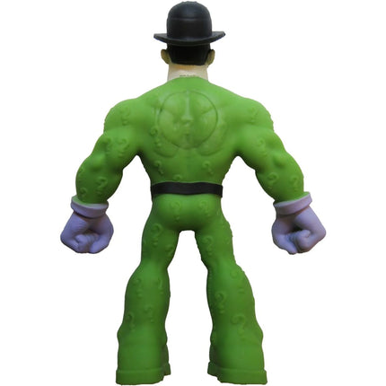 Flexi Monster DC Super Heroes figurica Riddler